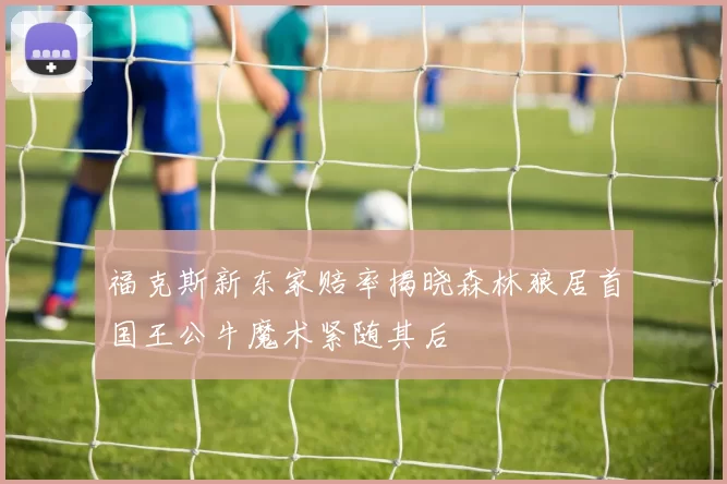 福克斯新东家赔率揭晓森林狼居首国王公牛魔术紧随其后