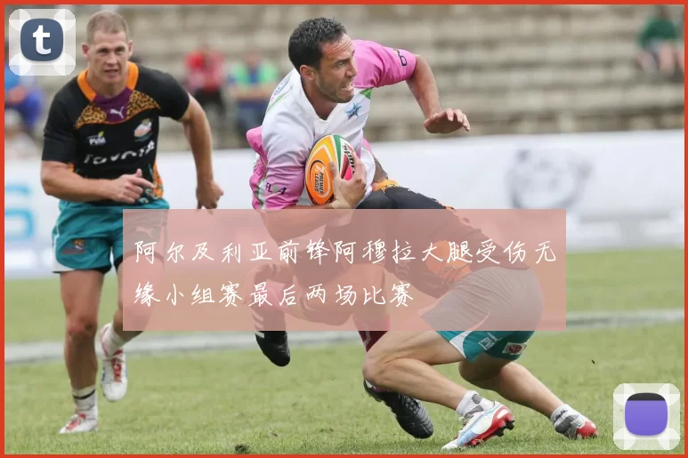 阿尔及利亚前锋阿穆拉大腿受伤无缘小组赛最后两场比赛